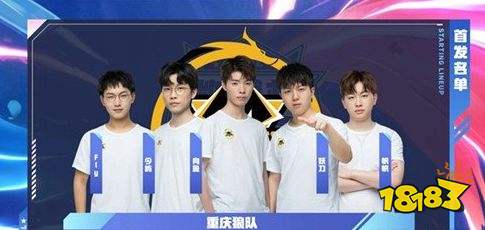 码后续操